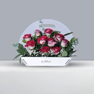 فلاور بگ زیبا با رز هلندی هایی دو رنگ و ژیپسوفیلا های تازه BB070