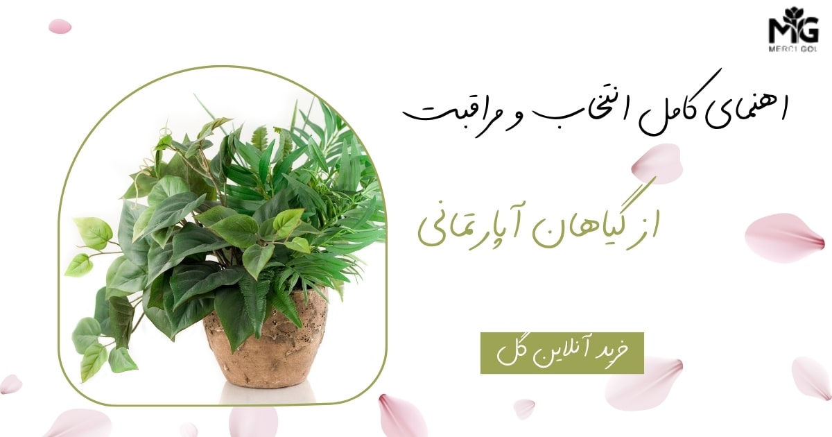 راهنمای کامل انتخاب و مراقبت از گیاهان آپارتمانی