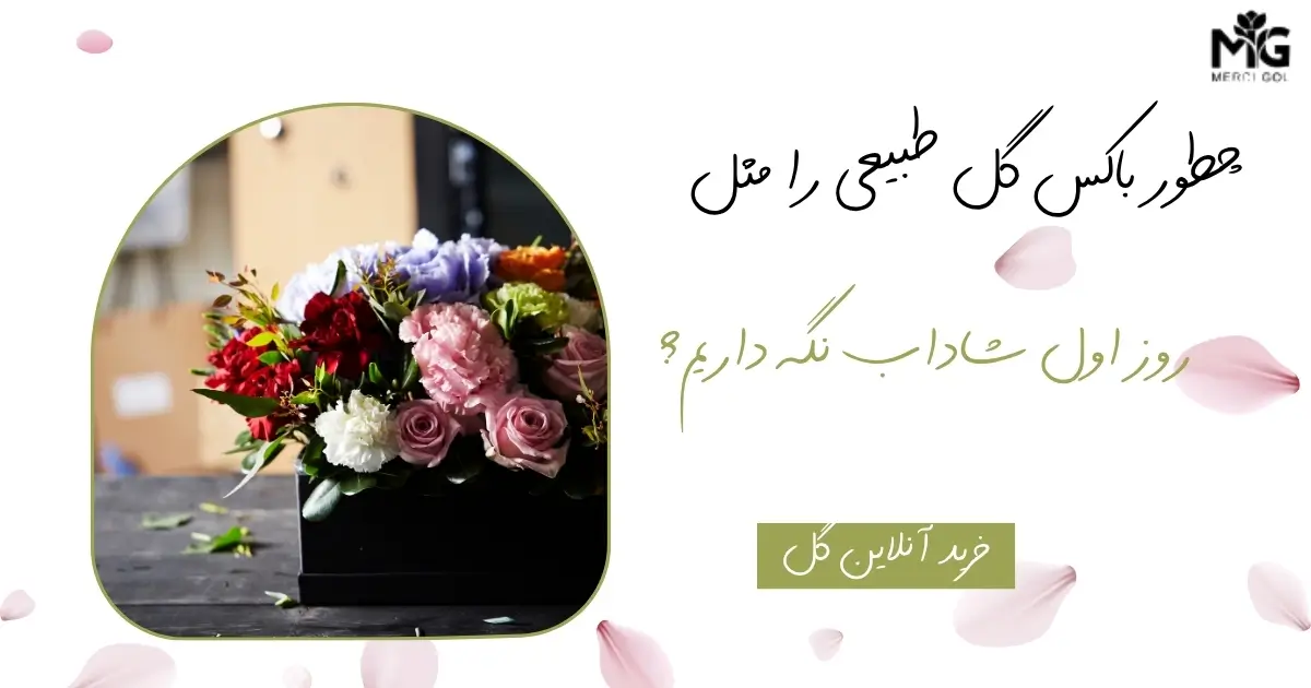 باکس گل طبیعی