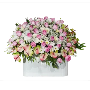 باکس گل زیبا طراحی شده با آنتریوم های کروماتیک و رزهای هلندی
