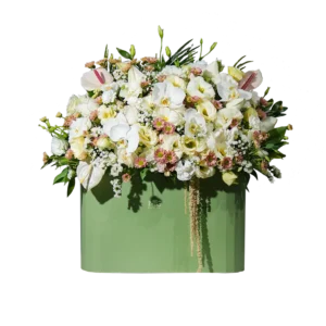 باکس گل تبریک دیزاین شده با ارکیده