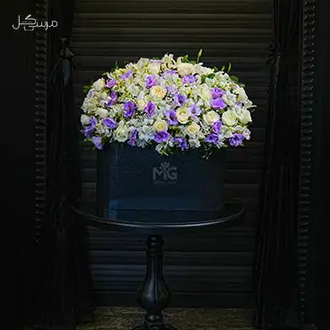 باکس گل سفید مشکی آلسترمریا و رز هلندی ویژه تبریک