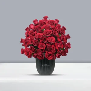 باکس گل مینیمال رز هلندی برای تبریک و سورپرایز BB207