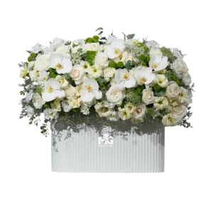 باکس گل جذاب و سرسبز داوودی و ارکیده برای تبریک