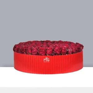 باکس گل تمام قرمز دایره ای طراحی شده با 100 شاخه رز هلندی BB237