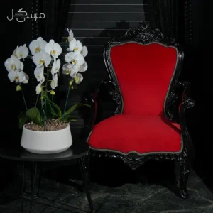 گلدان ارکیده GR002
