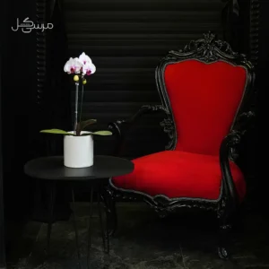 گلدان ارکیده GR004
