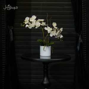 گلدان ارکیده مصنوعی MS015