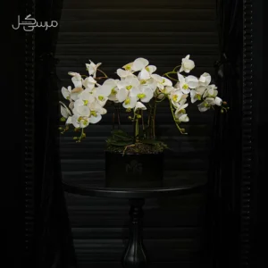 گلدان سرامیک فول ارکیده