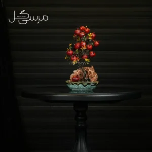 درختچه بونسای انار یلدایی YA001