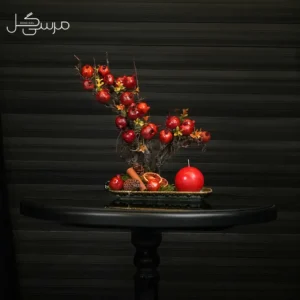 درختچه بونسای انار یلدایی YA002