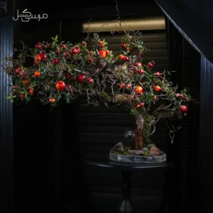 درختچه بونسای انار یلدایی YA003