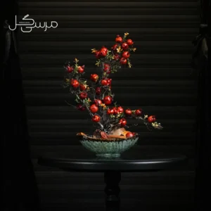 درختچه بونسای انار یلدایی YA004