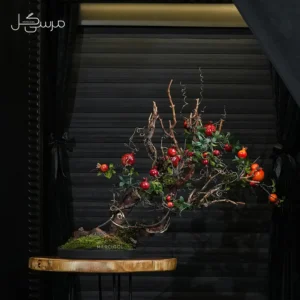 درختچه بونسای انار یلدایی YA005