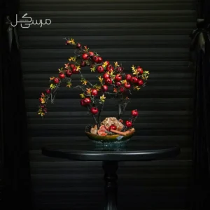 درختچه بونسای انار یلدایی YA007