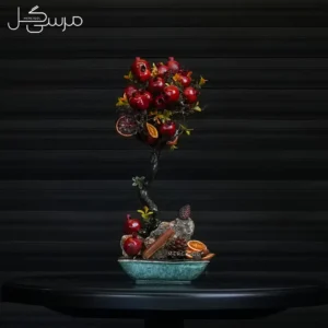 درختچه بونسای انار یلدایی YA008