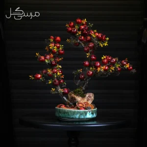 درختچه بونسای انار یلدایی YA009