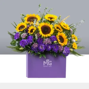 باکس گل آفتاب گردان و لیسین BB314-J