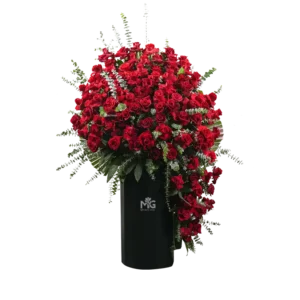 باکس گل فول رز هلندی BB327