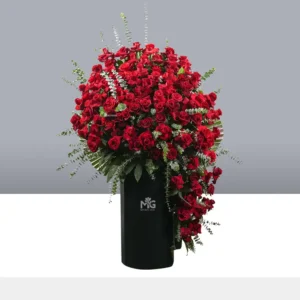 باکس گل فول رز هلندی