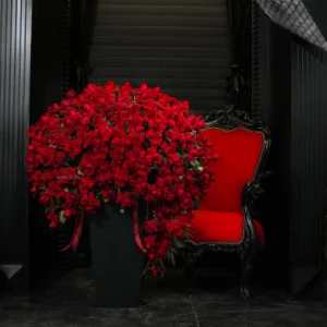 باکس گل فول رز هلندی لوکس