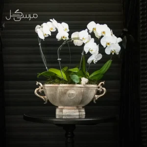 گلدان ارکیده GR006