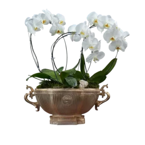 گلدان ارکیده GR006