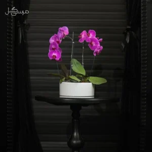 گلدان ارکیده GR008