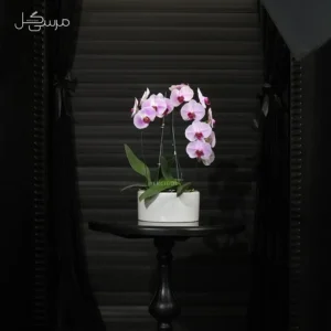 گلدان ارکیده GR009