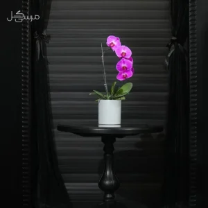 گلدان ارکیده GR010
