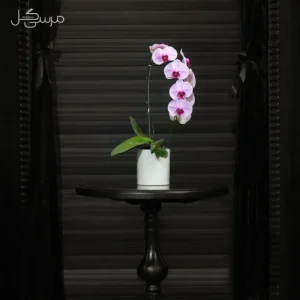 گلدان ارکیده GR011