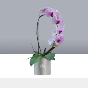 گلدان ارکیده GR011