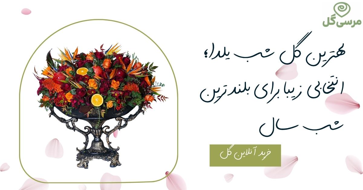 بهترین گل شب یلدا؛ انتخابی زیبا برای بلندترین شب سال