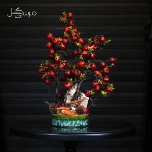 درختچه بونسای انار یلدایی YA015