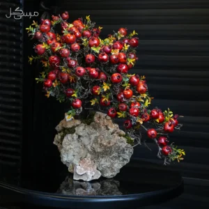 درختچه انار یلدایی