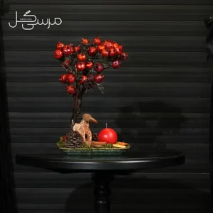 درختچه بونسای انار یلدایی YA023