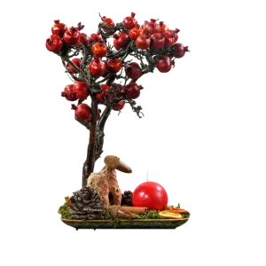درختچه بونسای انار یلدایی YA023
