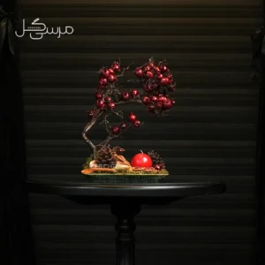 درختچه بونسای انار یلدایی YA024