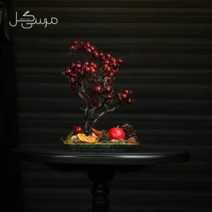 درختچه بونسای انار یلدایی YA025