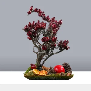 درختچه بونسای انار یلدایی YA025