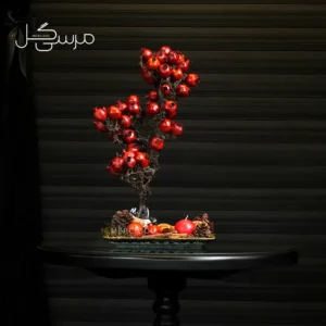 درختچه بونسای انار یلدایی YA026