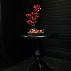 درختچه بونسای انار یلدایی YA026