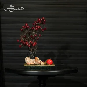 درختچه بونسای انار یلدایی YA027