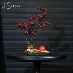 درختچه بونسای انار یلدایی YA028