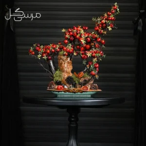 درختچه بونسای انار یلدایی YA030