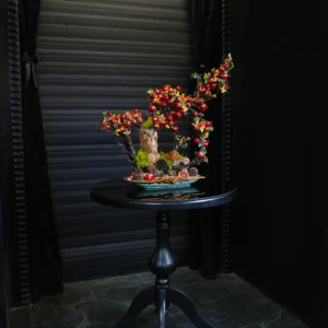 درختچه بونسای انار یلدایی YA030-2