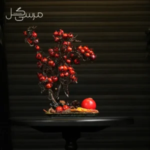 درختچه بونسای انار یلدایی YA033