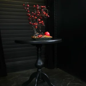 درختچه بونسای انار یلدایی YA033