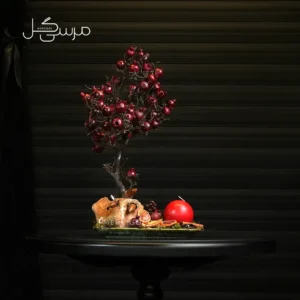 درختچه بونسای انار یلدایی YA034