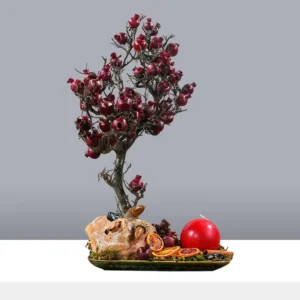 درختچه بونسای انار یلدایی YA034